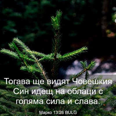 Picture 03 - Марко 13:26 BULG - Тогава ще видят Човешкия - Bible Verse Picture