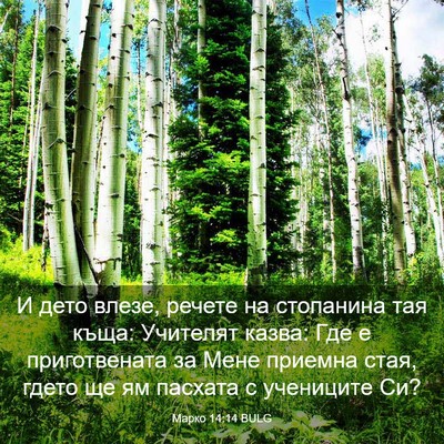 Picture 03 - Марко 14:14 BULG - И дето влезе, речете на - Bible Verse Picture