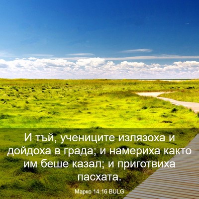 Picture 03 - Марко 14:16 BULG - И тъй, учениците излязоха и - Bible Verse Picture