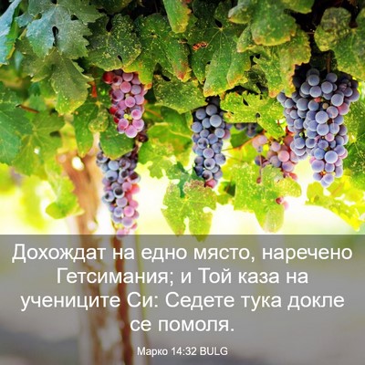 Picture 03 - Марко 14:32 BULG - Дохождат на едно място, - Bible Verse Picture