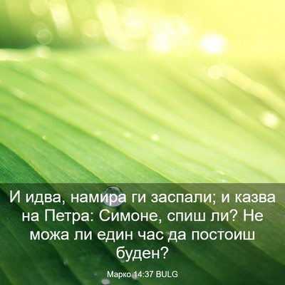 Picture 03 - Марко 14:37 BULG - И идва, намира ги заспали; и - Bible Verse Picture