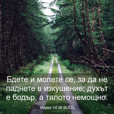 Picture 03 - Марко 14:38 BULG - Бдете и молете се, за да не - Bible Verse Picture