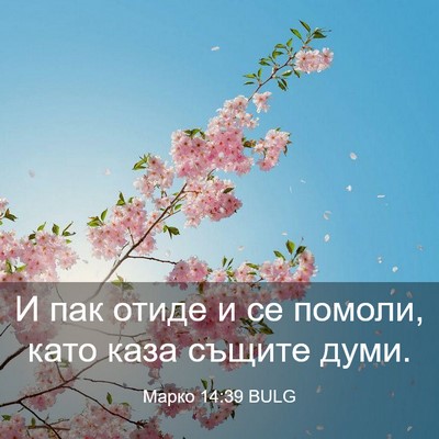 Picture 03 - Марко 14:39 BULG - И пак отиде и се помоли, - Bible Verse Picture