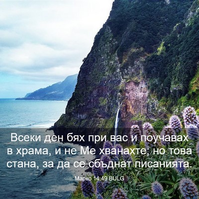 Picture 03 - Марко 14:49 BULG - Всеки ден бях при вас и - Bible Verse Picture