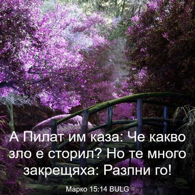 Picture 03 - Марко 15:14 BULG - А Пилат им каза: Че какво - Bible Verse Picture