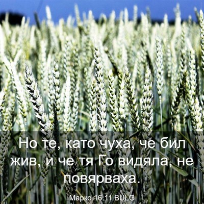 Picture 03 - Марко 16:11 BULG - Но те, като чуха, че бил жив, - Bible Verse Picture