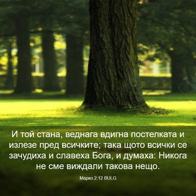 Picture 03 - Марко 2:12 BULG - И той стана, веднага вдигна - Bible Verse Picture