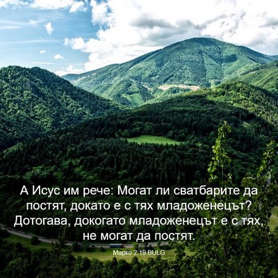 Picture 03 - Марко 2:19 BULG - А Исус им рече: Могат ли - Bible Verse Picture