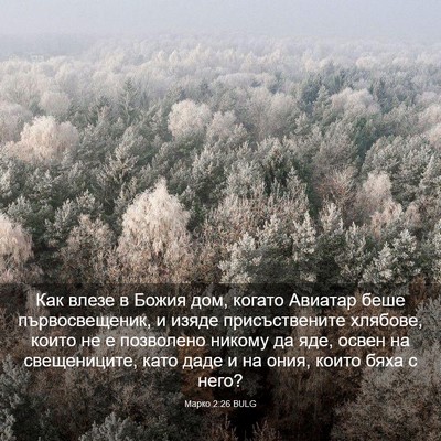 Picture 03 - Марко 2:26 BULG - Как влезе в Божия дом, - Bible Verse Picture