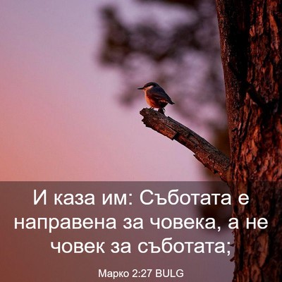 Picture 03 - Марко 2:27 BULG - И каза им: Съботата е - Bible Verse Picture