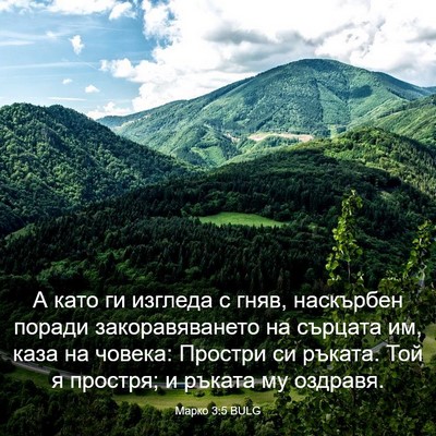 Picture 03 - Марко 3:5 BULG - А като ги изгледа с гняв, - Bible Verse Picture