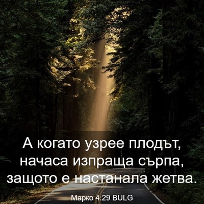 Picture 03 - Марко 4:29 BULG - А когато узрее плодът, - Bible Verse Picture