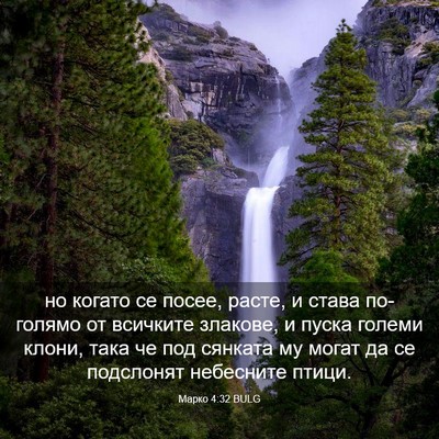 Picture 03 - Марко 4:32 BULG - но когато се посее, расте, и - Bible Verse Picture