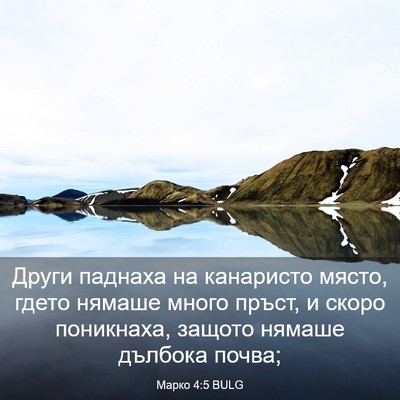 Picture 03 - Марко 4:5 BULG - Други паднаха на канаристо - Bible Verse Picture