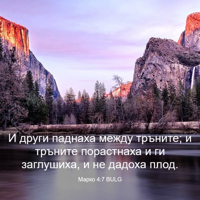 Picture 03 - Марко 4:7 BULG - И други паднаха между - Bible Verse Picture