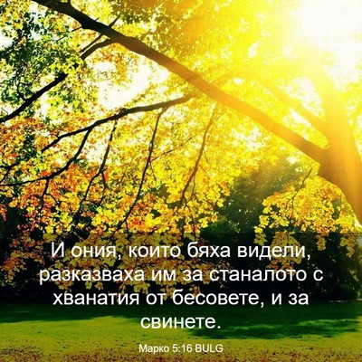 Picture 03 - Марко 5:16 BULG - И ония, които бяха видели, - Bible Verse Picture