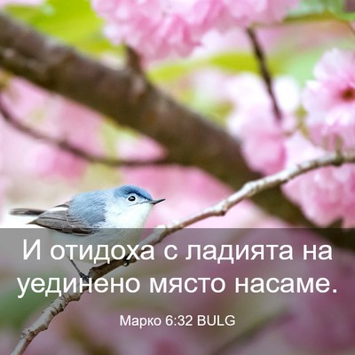 Picture 03 - Марко 6:32 BULG - И отидоха с ладията на - Bible Verse Picture