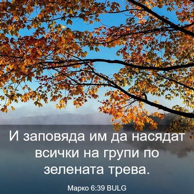 Picture 03 - Марко 6:39 BULG - И заповяда им да насядат - Bible Verse Picture