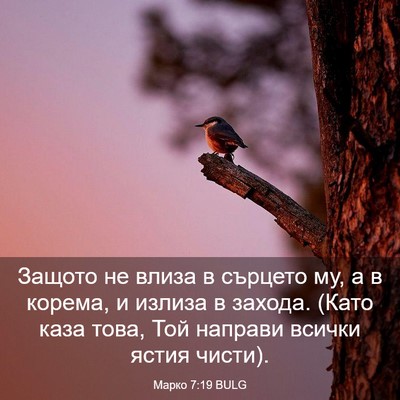 Picture 03 - Марко 7:19 BULG - Защото не влиза в сърцето - Bible Verse Picture