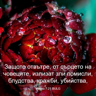 Picture 03 - Марко 7:21 BULG - Защото отвътре, от сърцето - Bible Verse Picture