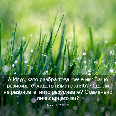 Picture 03 - Марко 8:17 BULG - А Исус, като разбра това; - Bible Verse Picture