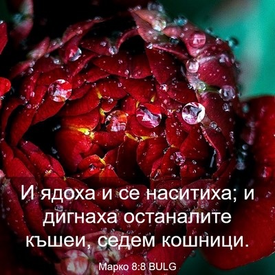 Picture 03 - Марко 8:8 BULG - И ядоха и се наситиха; и - Bible Verse Picture