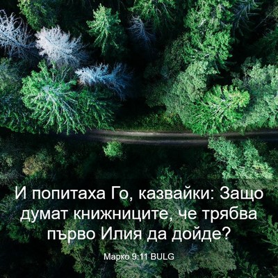 Picture 03 - Марко 9:11 BULG - И попитаха Го, казвайки: - Bible Verse Picture