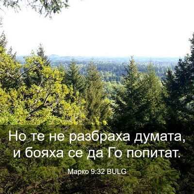 Picture 03 - Марко 9:32 BULG - Но те не разбраха думата, и - Bible Verse Picture