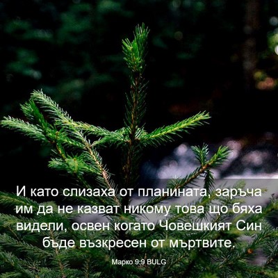 Picture 03 - Марко 9:9 BULG - И като слизаха от - Bible Verse Picture