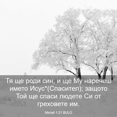 Picture 03 - Матей 1:21 BULG - Тя ще роди син, и ще Му - Bible Verse Picture