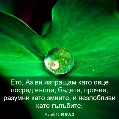 Picture 03 - Матей 10:16 BULG - Ето, Аз ви изпращам като - Bible Verse Picture