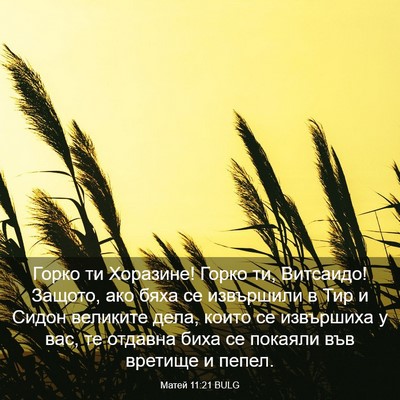 Picture 03 - Матей 11:21 BULG - Горко ти Хоразине! Горко - Bible Verse Picture