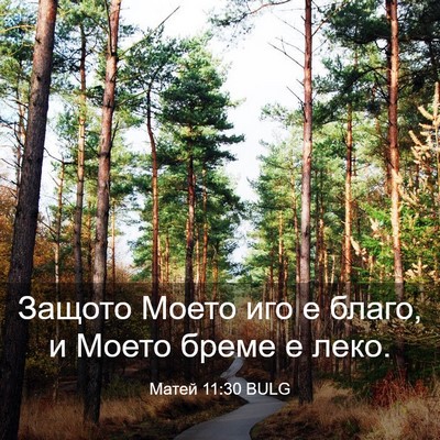 Picture 03 - Матей 11:30 BULG - Защото Моето иго е благо, и - Bible Verse Picture
