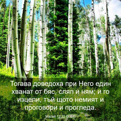 Picture 03 - Матей 12:22 BULG - Тогава доведоха при Него - Bible Verse Picture