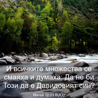 Picture 03 - Матей 12:23 BULG - И всичките множества се - Bible Verse Picture