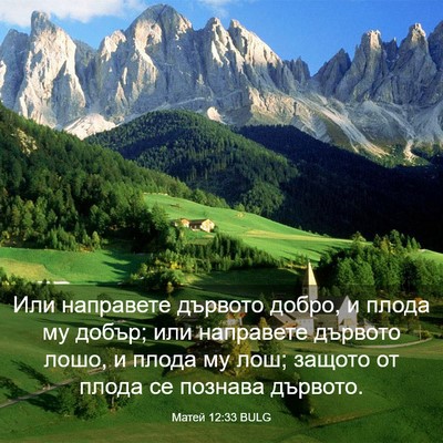 Picture 03 - Матей 12:33 BULG - Или направете дървото - Bible Verse Picture