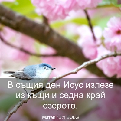 Picture 03 - Матей 13:1 BULG - В същия ден Исус излезе из - Bible Verse Picture