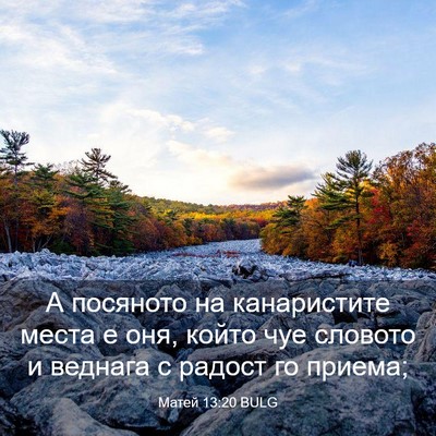 Picture 03 - Матей 13:20 BULG - А посяното на канаристите - Bible Verse Picture