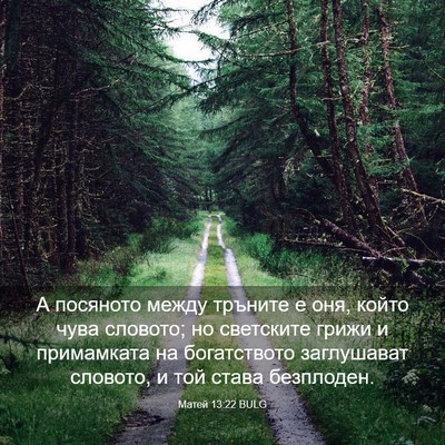 Picture 03 - Матей 13:22 BULG - А посяното между тръните е - Bible Verse Picture