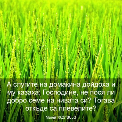 Picture 03 - Матей 13:27 BULG - А слугите на домакина - Bible Verse Picture