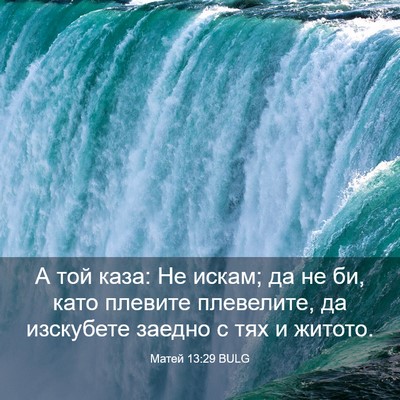 Picture 03 - Матей 13:29 BULG - А той каза: Не искам; да не - Bible Verse Picture