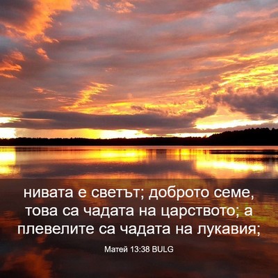 Picture 03 - Матей 13:38 BULG - нивата е светът; доброто - Bible Verse Picture