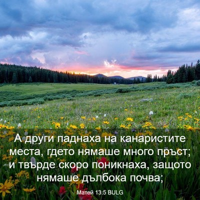 Picture 03 - Матей 13:5 BULG - А други паднаха на - Bible Verse Picture