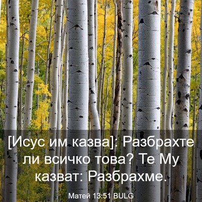Picture 03 - Матей 13:51 BULG - [Исус им казва]: Разбрахте - Bible Verse Picture