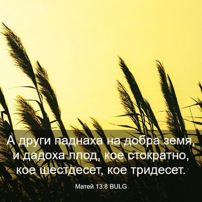 Picture 03 - Матей 13:8 BULG - А други паднаха на добра - Bible Verse Picture