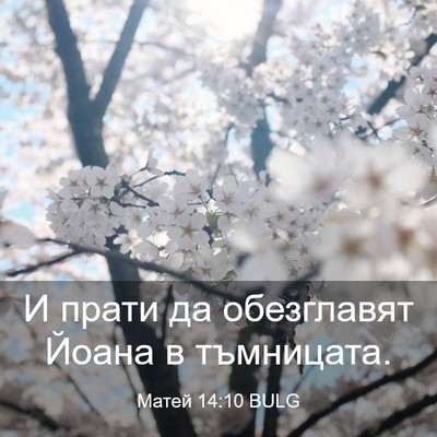 Picture 03 - Матей 14:10 BULG - И прати да обезглавят - Bible Verse Picture