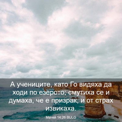 Picture 03 - Матей 14:26 BULG - А учениците, като Го видяха - Bible Verse Picture