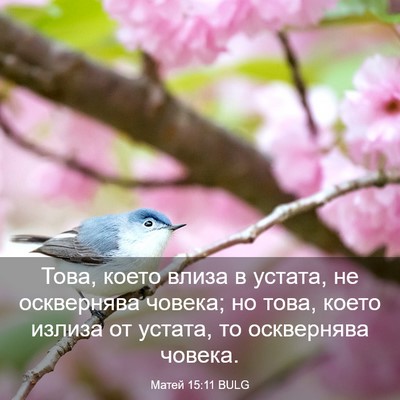 Picture 03 - Матей 15:11 BULG - Това, което влиза в устата, - Bible Verse Picture