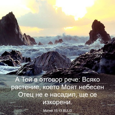 Picture 03 - Матей 15:13 BULG - А Той в отговор рече: Всяко - Bible Verse Picture