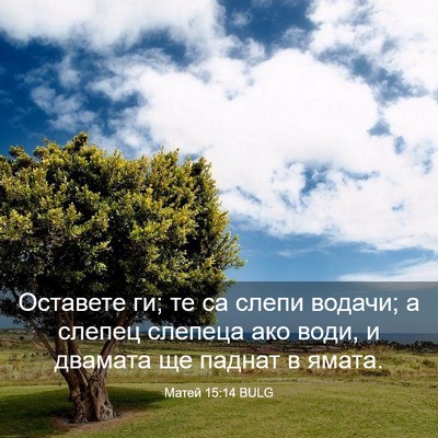 Picture 03 - Матей 15:14 BULG - Оставете ги; те са слепи - Bible Verse Picture